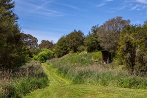 A rural landscape with a dirt path leading to a small wooden structure, surrounded by dense vegetation and trees.