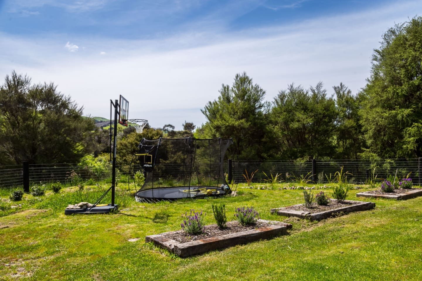 A backyard with a trampoline, a basketball hoop, and a garden with various plants.