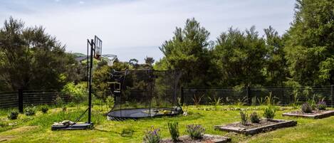 A backyard with a trampoline, a basketball hoop, and a garden with various plants.