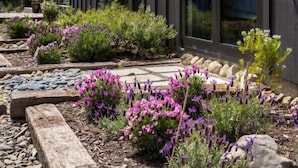 Un bâtiment moderne doté de grandes fenêtres et d’un jardin agrémenté de fleurs violettes.
