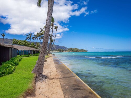 Island Jewel — Ocean Front North Shore Paradise