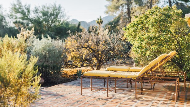 A patio with lounge chairs and a brick floor, surrounded by various plants and trees. - 5 Miles from Park entrance Charming 2-bedroom house in enchanting Joshua Tree (Joshua Tree)