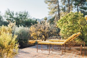 A patio with lounge chairs and a brick floor, surrounded by various plants and trees.