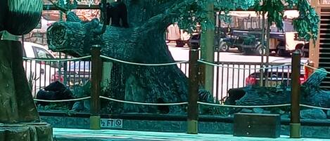 Innenpool, Außenpool