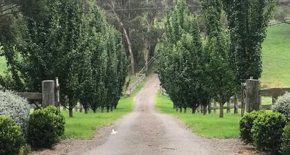 Skyfall - Country estate, a family and entertaining paradise.