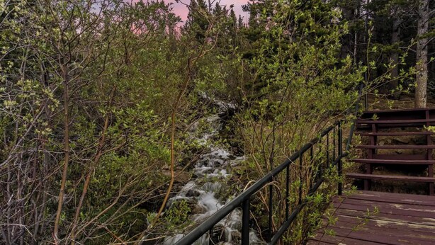 A wooden bridge with metal railings over a small waterfall surrounded by dense greenery.