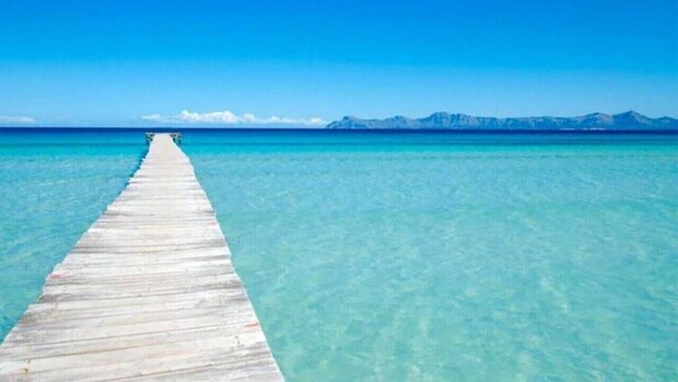 在海灘附近