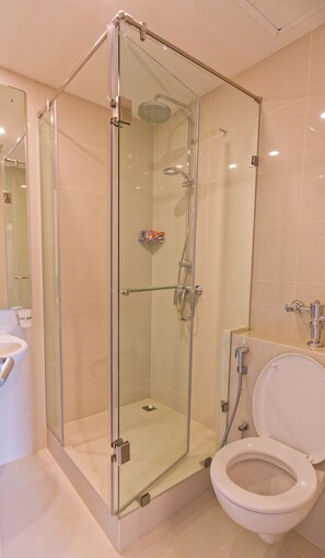 Shower, hair dryer, bidet, towels