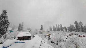 A snowy village with traditional houses and dense forest. - Yalakhom (Sosan)