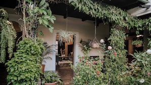An indoor garden with potted plants and hanging baskets. - Amazing Historic  Spanish House with AC, WIFI Cable and an amazing Courtyard.  (Antigua Guatemala)