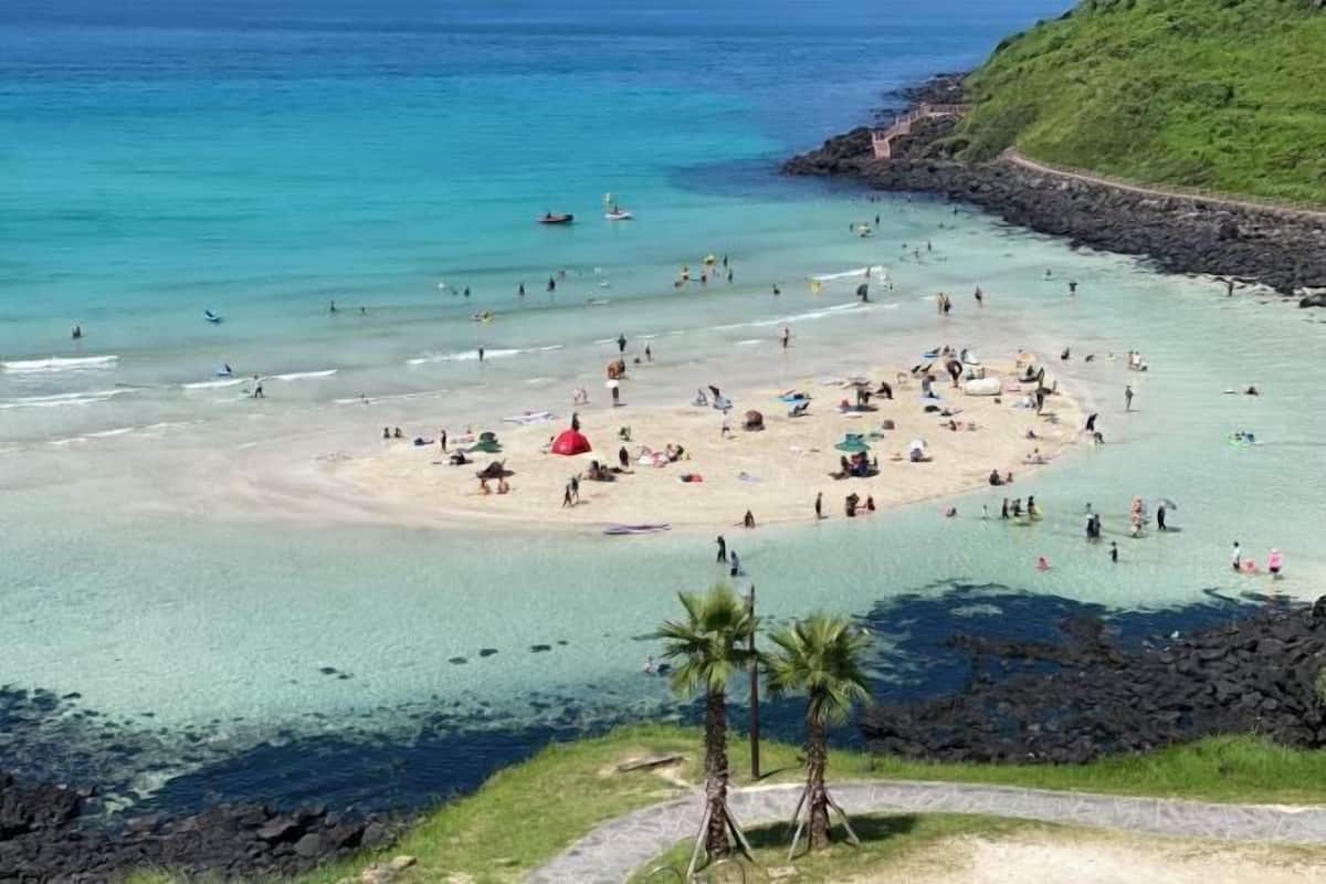 Une plage à l’eau claire, avec un rivage rocheux et des palmiers.