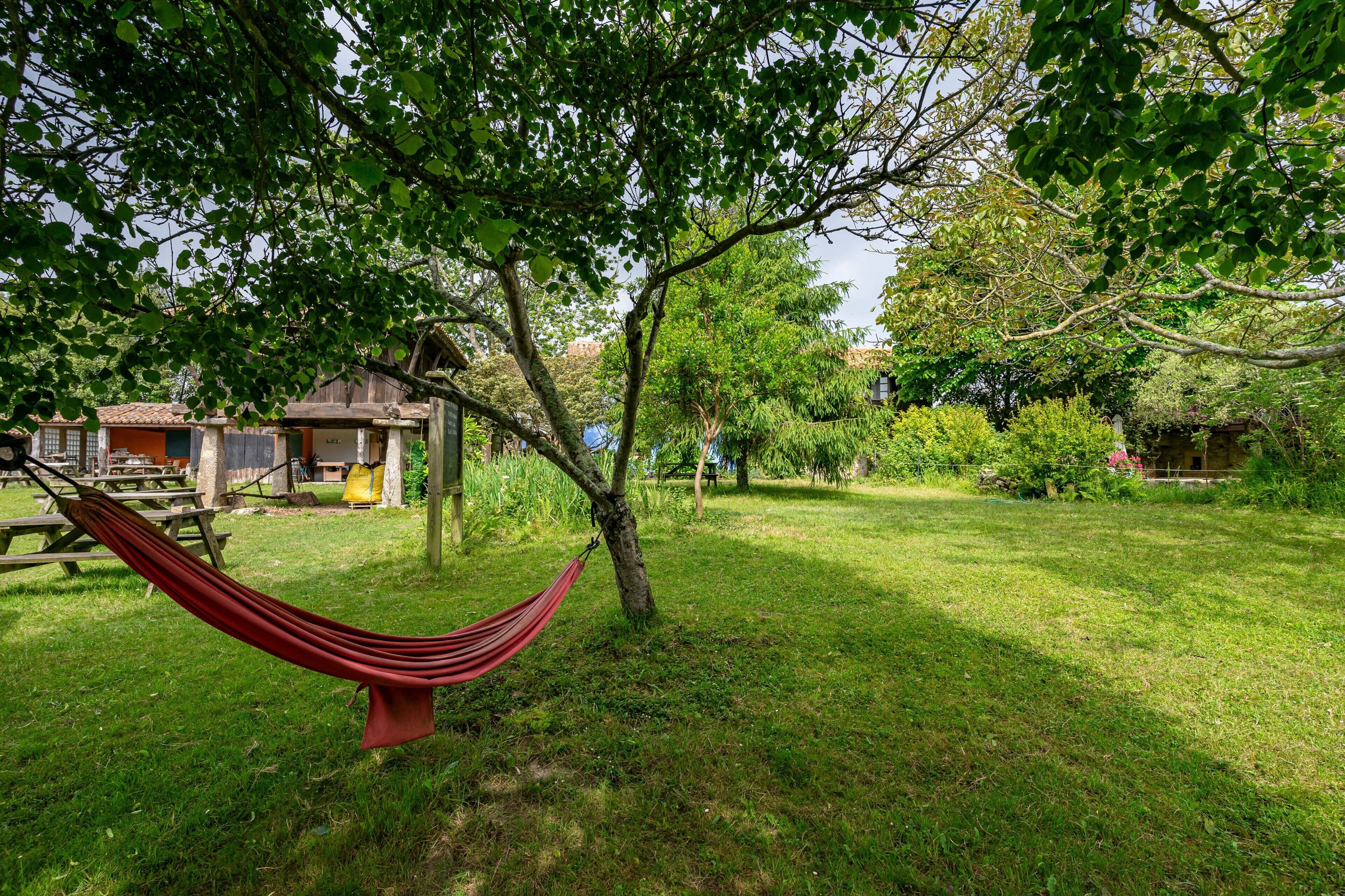 Una hamaca atada a un árbol en un patio cubierto de césped, con mesas de picnic y un cobertizo al fondo.