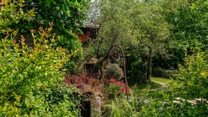 Een weelderige tuin met een stenen constructie, een pad en dichte begroeiing.