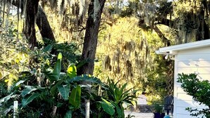 A garden with large trees, a white building, and a pathway. - Private marsh views -under mossy oaks, minutes to beaches & downtown’s  (Fernandina Beach)