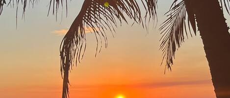 Chaises longues, serviettes de plage