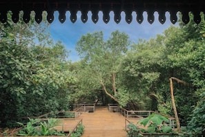 A wooden pathway leading through a dense forest, surrounded by greenery. - Royale Riviera Resort Private Pool Villas (Langkawi)