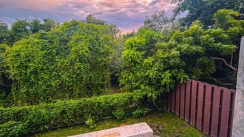 A garden with a wooden bench, a metal fence, and dense greenery.
