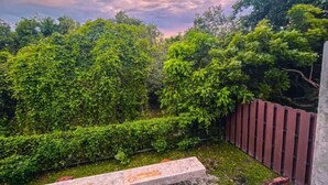A garden with dense foliage and a wooden fence. - Royale Riviera Resort Private Pool Villas (Langkawi)