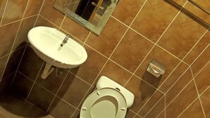 A bathroom with a white sink, a toilet, and a mirror.