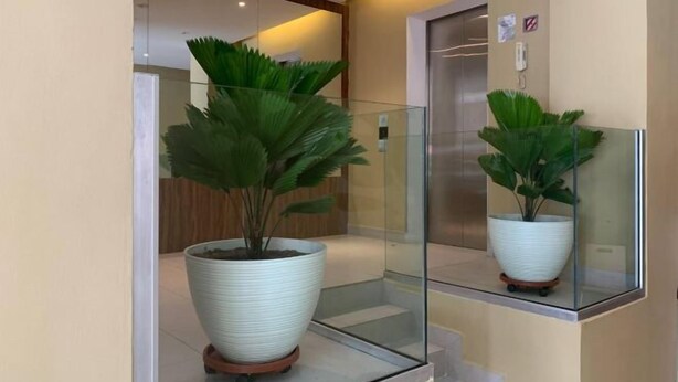 Een moderne lift met glazen deuren, een potplant en de weerspiegeling van de plant in de spiegel.