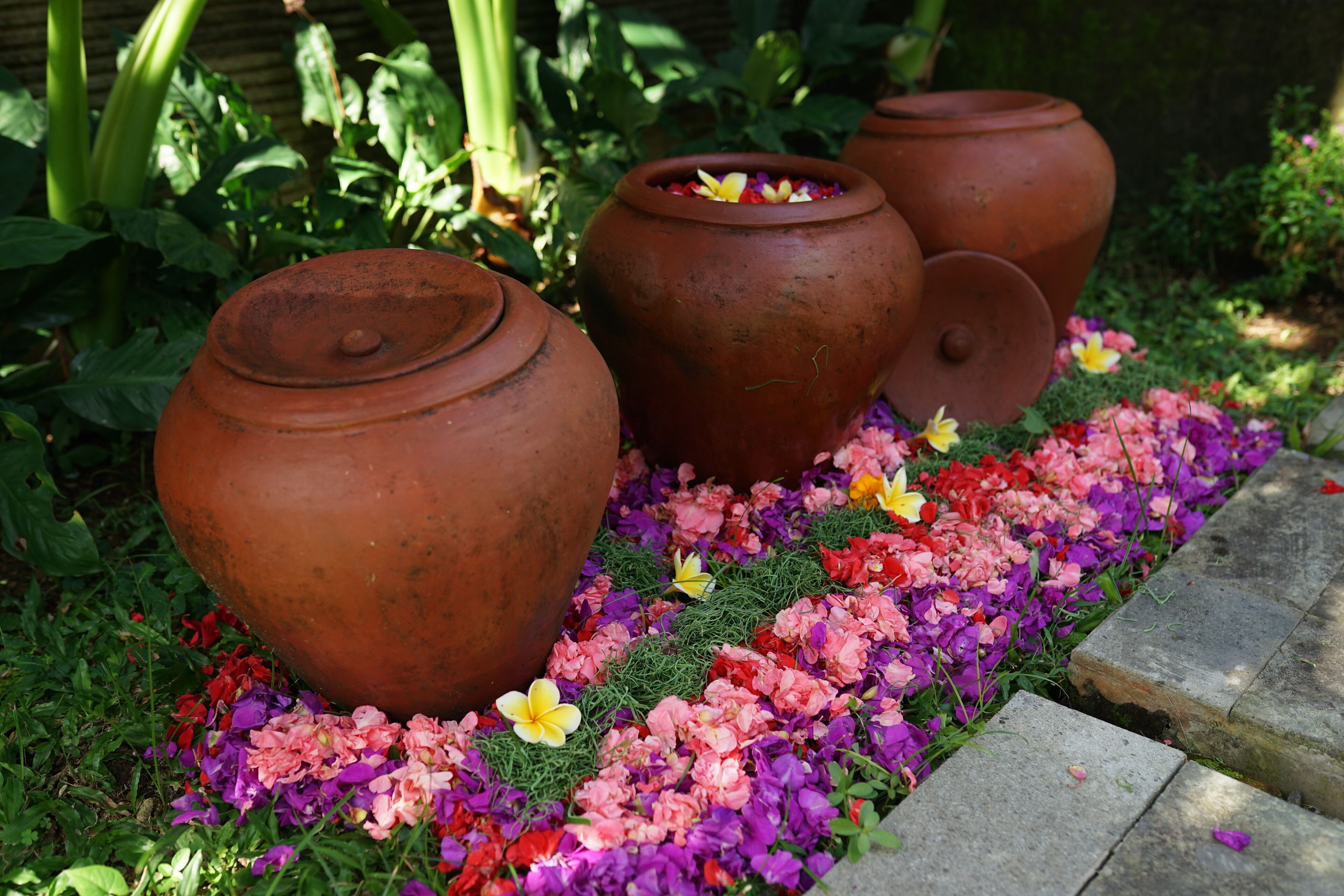 Three terracotta pots in a garden setting with colorful flowers and green foliage.