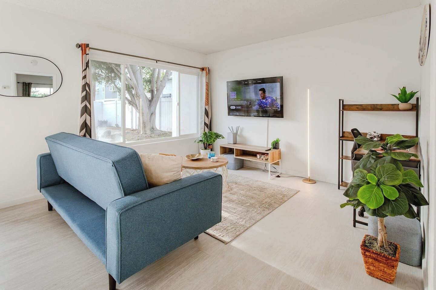 A modern living room with a sofa, a flat-screen TV, a coffee table, and a potted plant.
