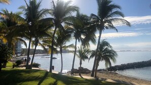 Una playa con palmeras y cielo despejado.