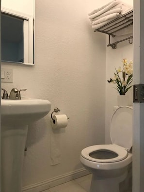 Hair dryer, towels, soap, toilet paper