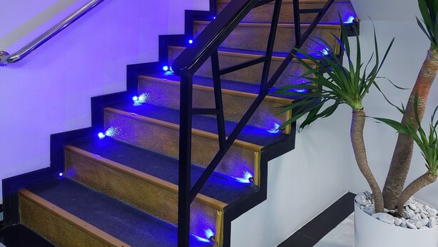 A staircase with blue LED lighting, a metal handrail, and a potted plant.