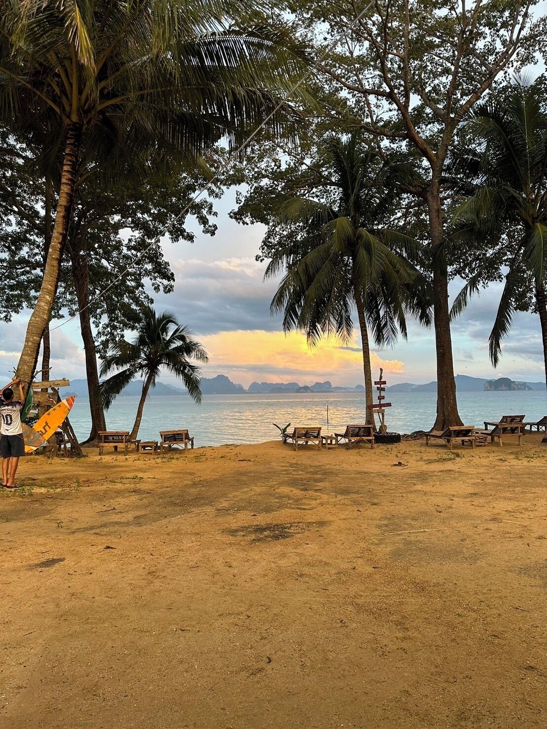 Una playa con palmeras, bancos de madera y una tabla de surf.