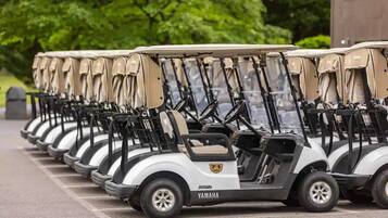 Eine Reihe von Golfcarts auf einem Parkplatz.