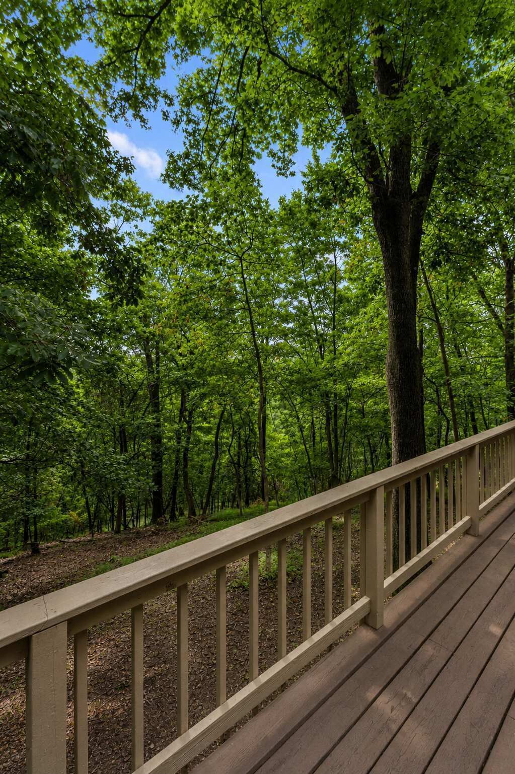 A wooden deck with a railing overlooking a forested area.