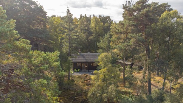 Eine Hütte, umgeben von dichtem Wald, mit einer überdachten Veranda und einer kleinen Terrasse.