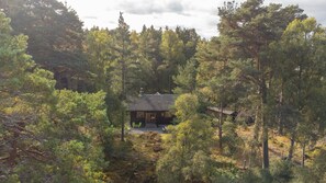 Une cabane entourée d’une forêt dense, dotée d’un porche couvert et d’une petite terrasse.