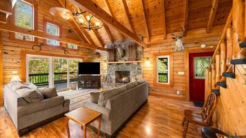 Télévision, cheminée, espaces bureaux