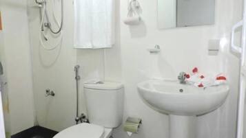 Serviettes fournies, savon, papier toilette