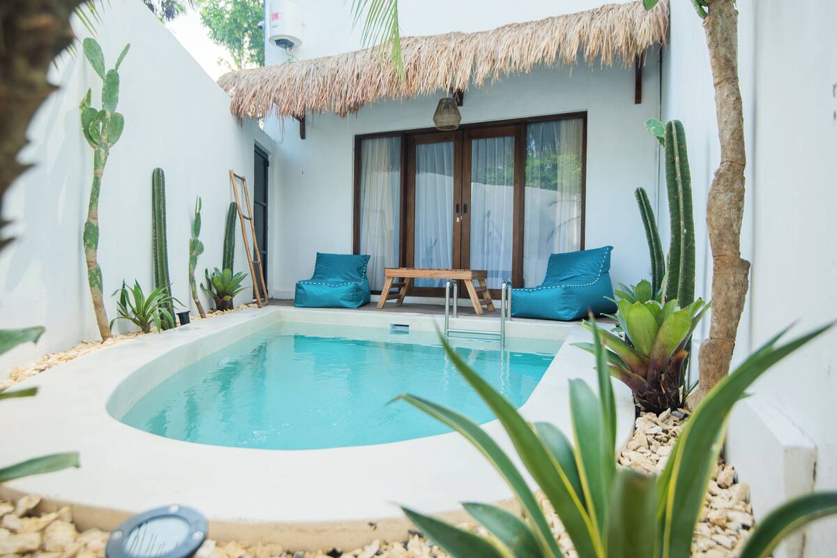 A pool area with a wooden bench and blue cushions, surrounded by cacti and plants.