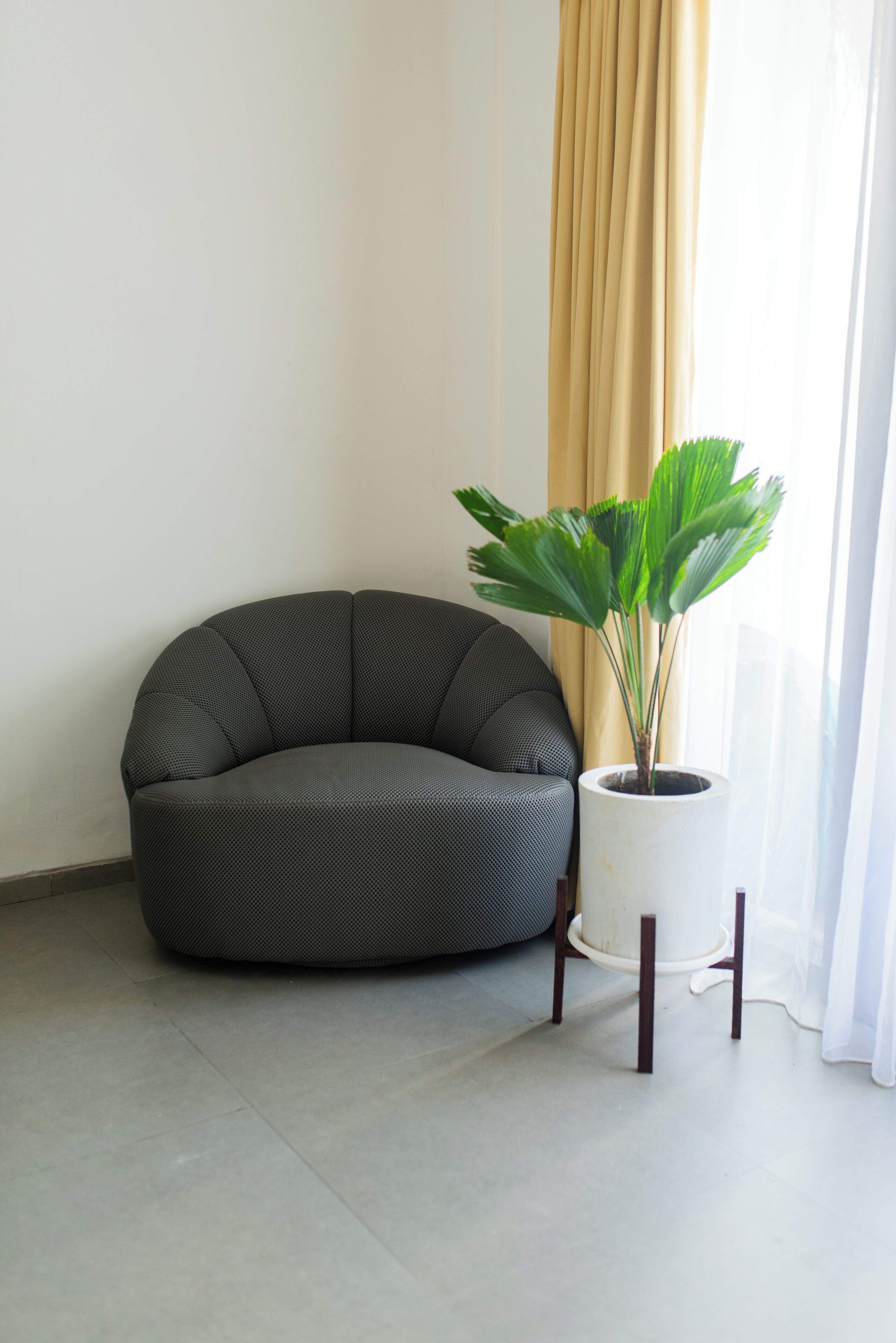 Een moderne kamer met een gebogen grijze bank, een witte plant in pot en een beige gordijn.