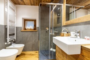Shower, hair dryer, bidet, towels