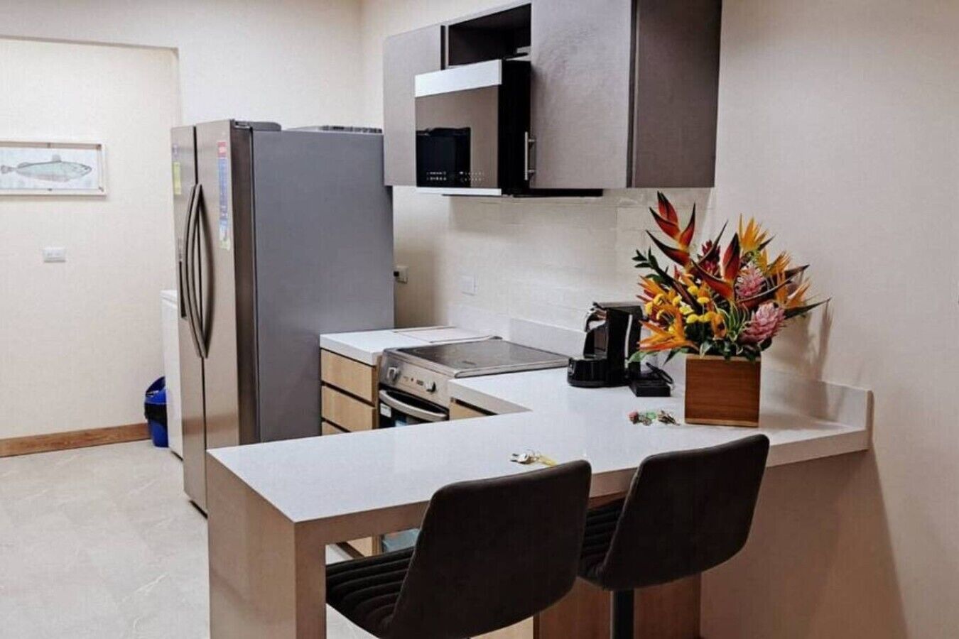 Fridge, microwave, oven, coffee/tea maker