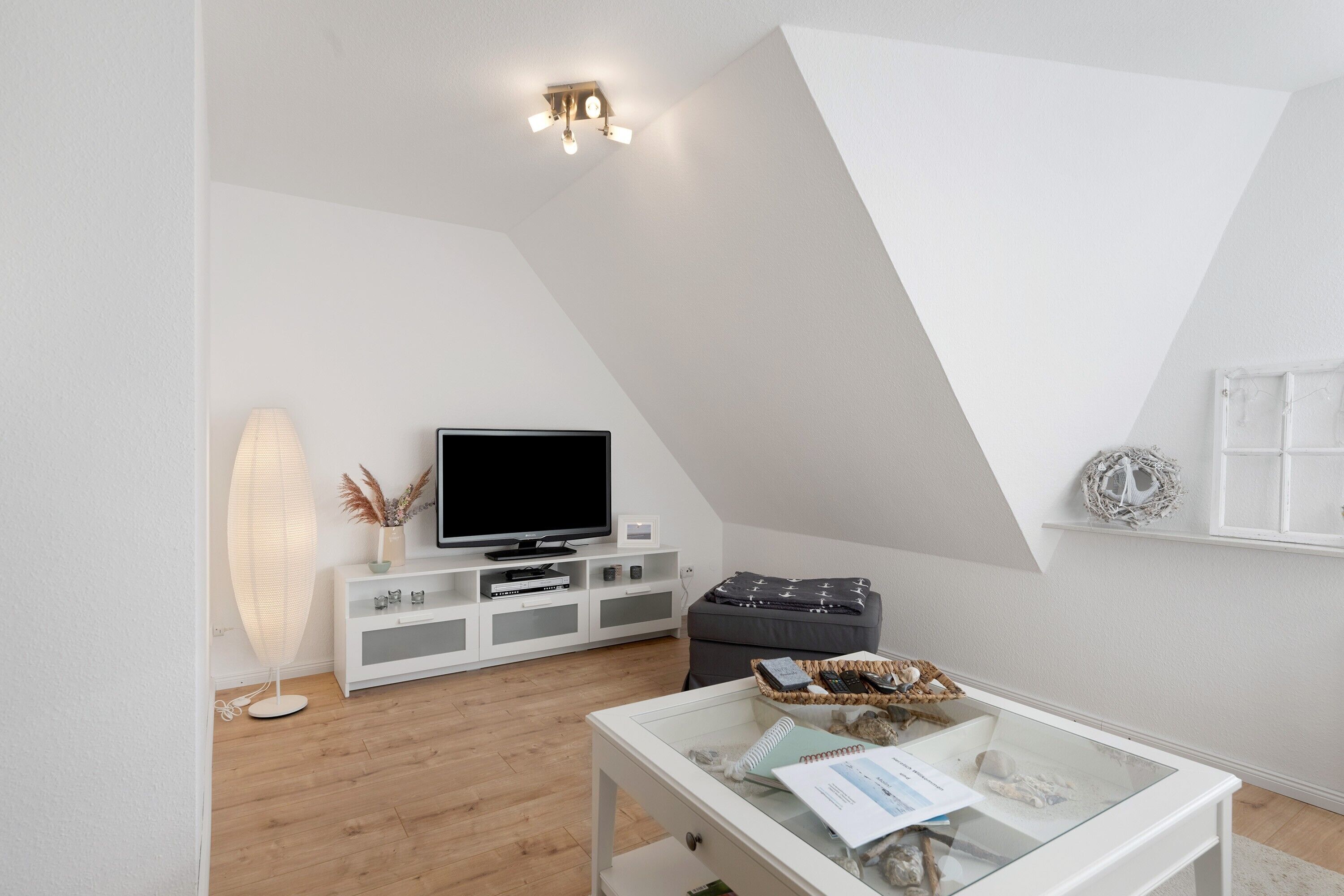 تلفزيون، مشغل دي في دي