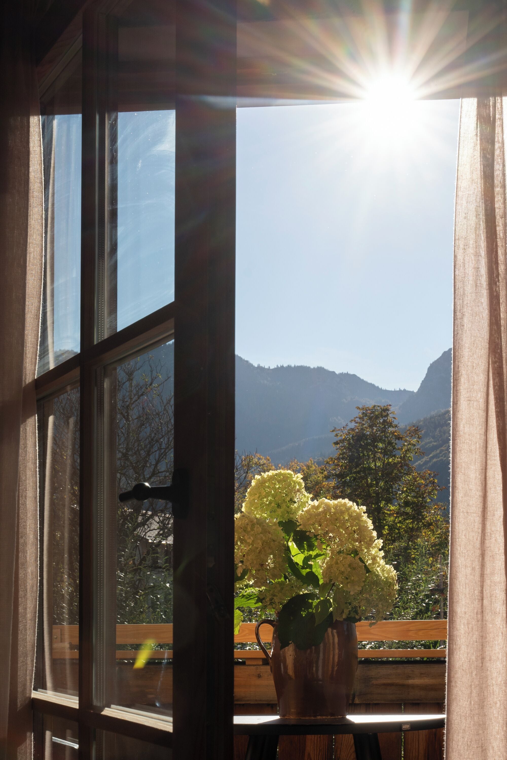 Una finestra con vista sulle montagne e un vaso con fiori.