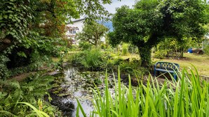 Een tuin met een vijver, bomen en een bank.