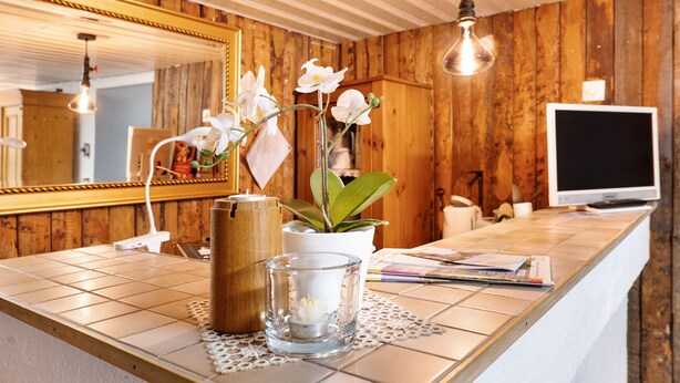 Ein Badezimmer mit Holzwand, Spiegel, Waschbecken, Toilette und Fernseher.