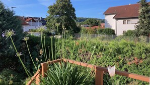 Ein Garten mit verschiedenen Pflanzen und einem Holzzaun.