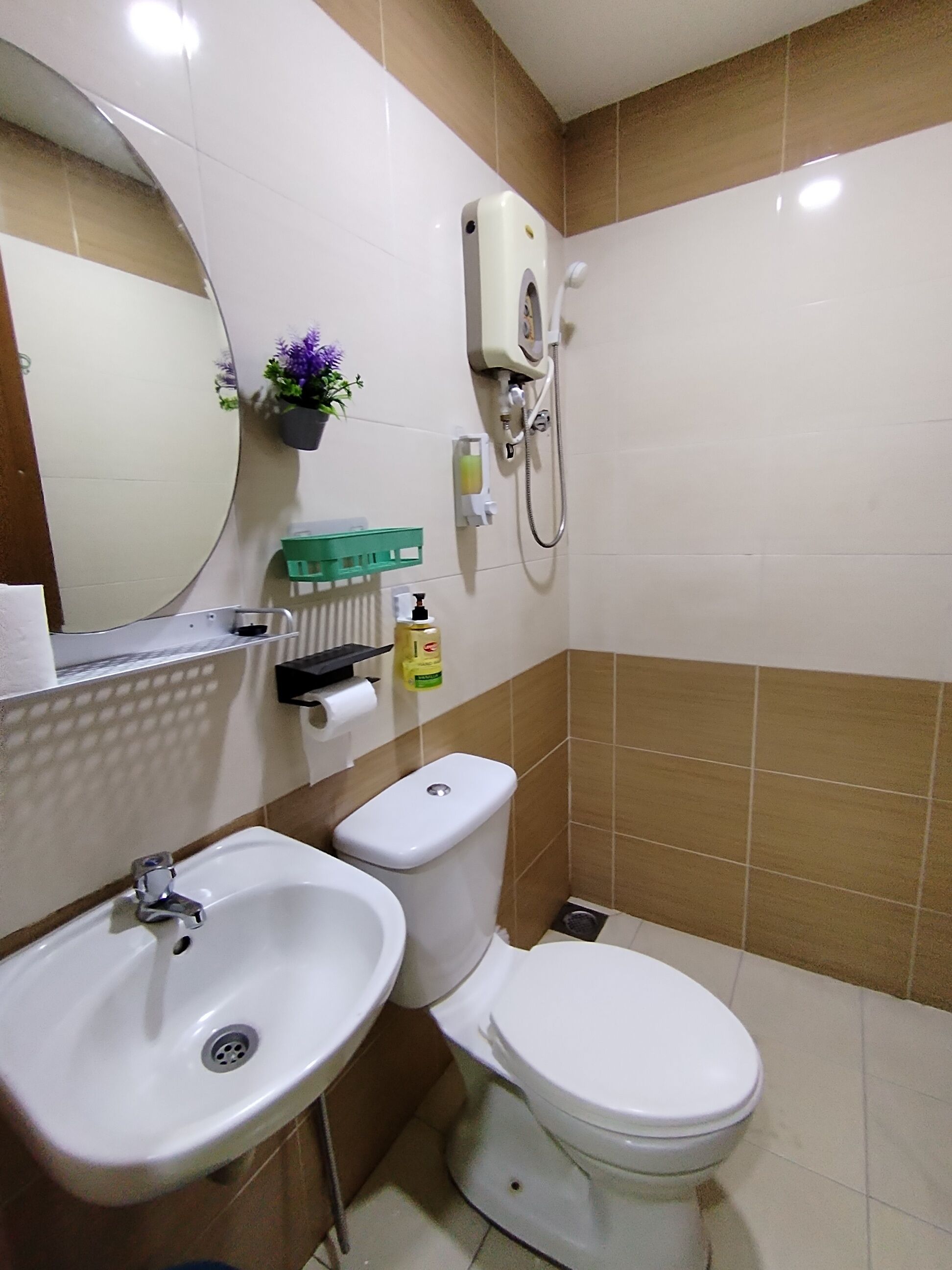 A bathroom with a sink, toilet, and a shower. There is a mirror above the sink, a potted plant, and a soap dispenser on the wall.