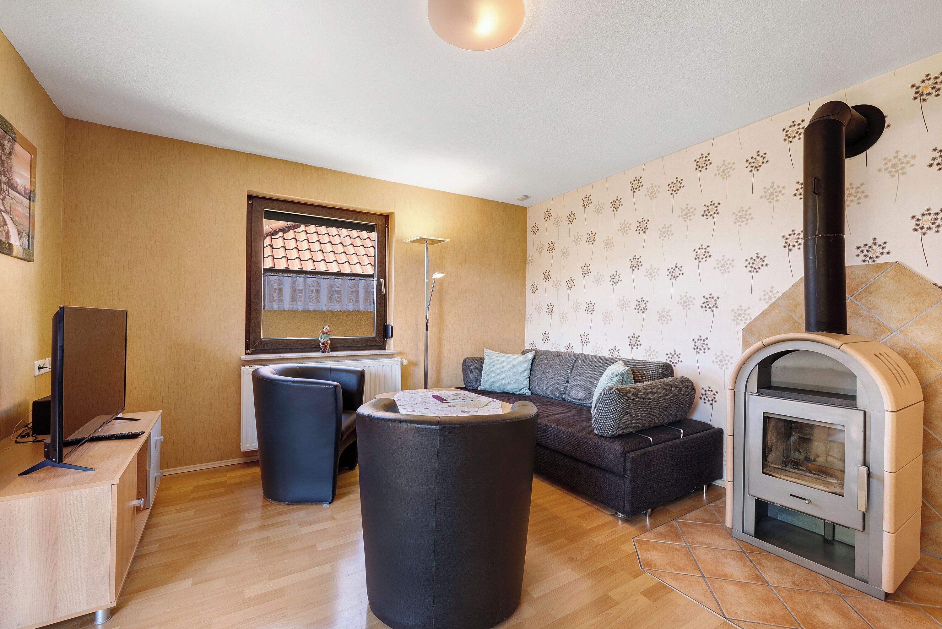 TV, peis, DVD-spiller og bordtennis