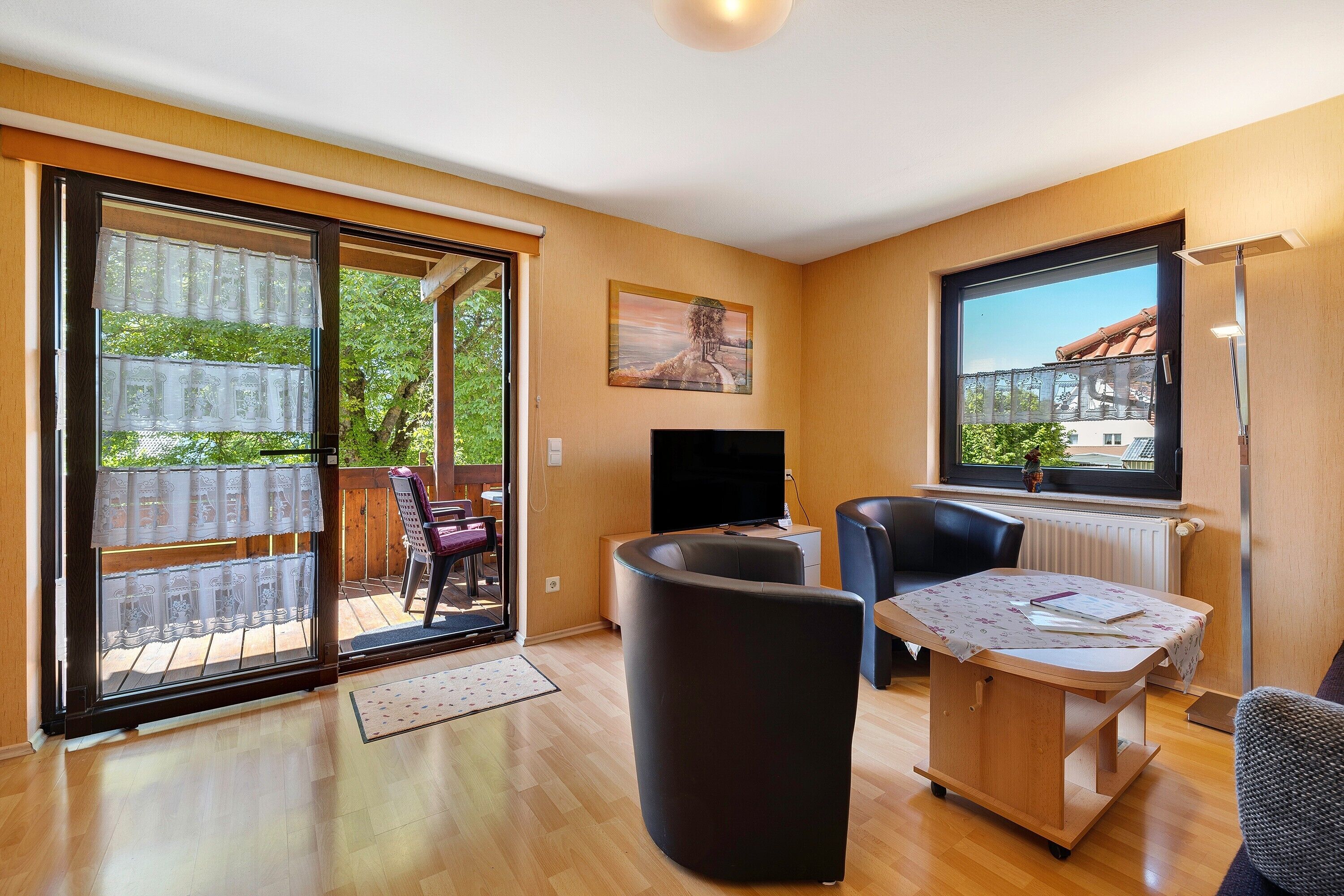 Télévision, cheminée, lecteur de DVD, table de tennis de table