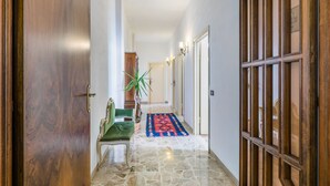 A hallway with a stone floor, a green bench, a potted plant, and a colorful rug.