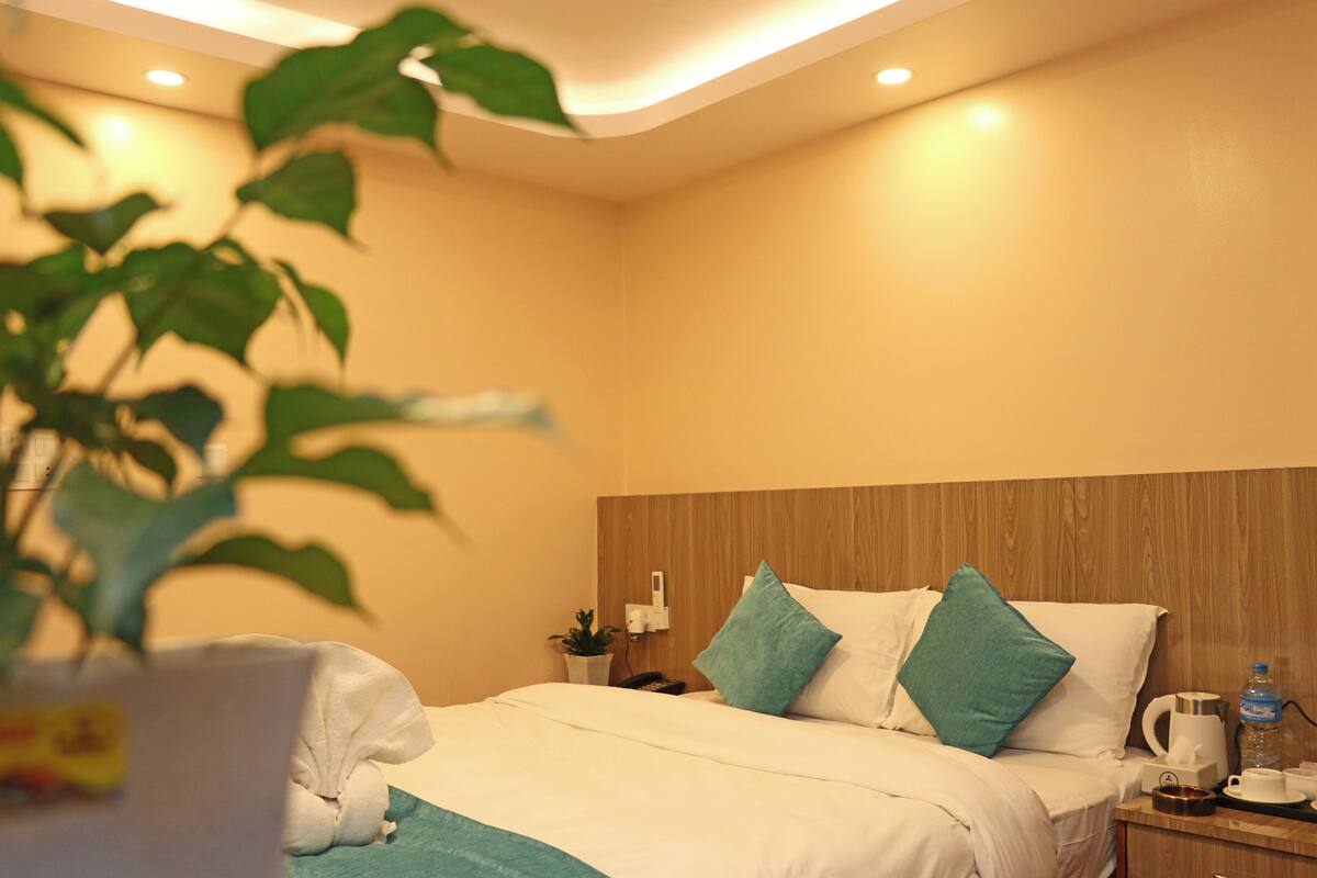 A hotel room with a bed, a nightstand, a plant, and a wooden headboard.